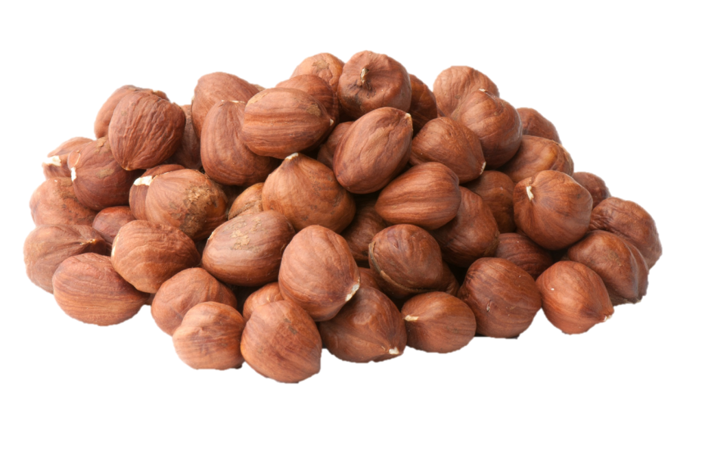 Hazelnut Persian Nuts